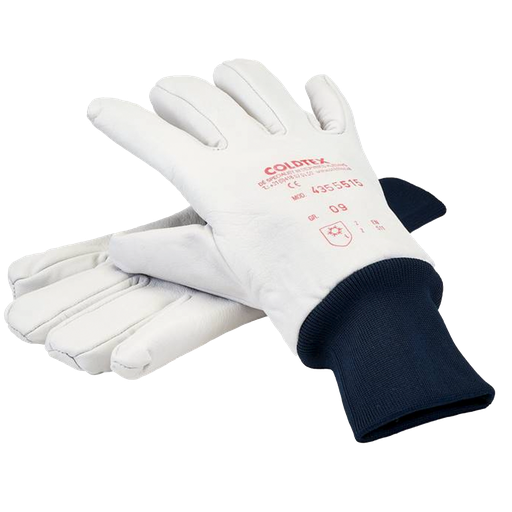 [CT816063302] Glove FELDKIRCH